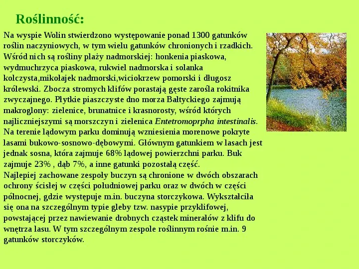 Najważniejsze Parki Narodowe w Polsce i na Świecie - Slide 30