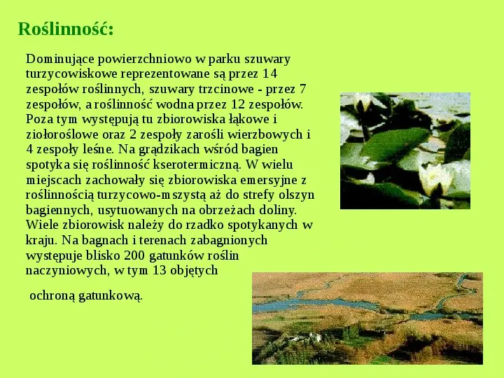 Najważniejsze Parki Narodowe w Polsce i na Świecie - Slide 33