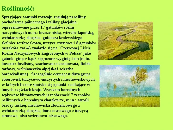 Najważniejsze Parki Narodowe w Polsce i na Świecie - Slide 36