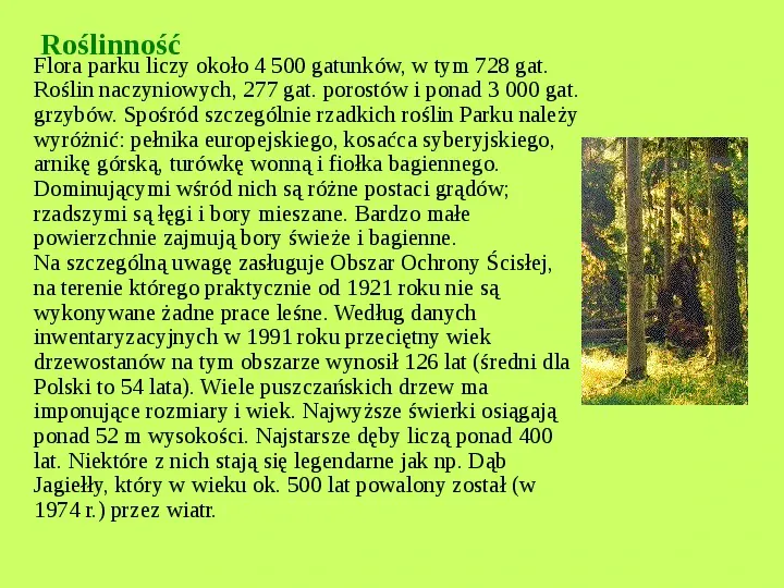 Najważniejsze Parki Narodowe w Polsce i na Świecie - Slide 5