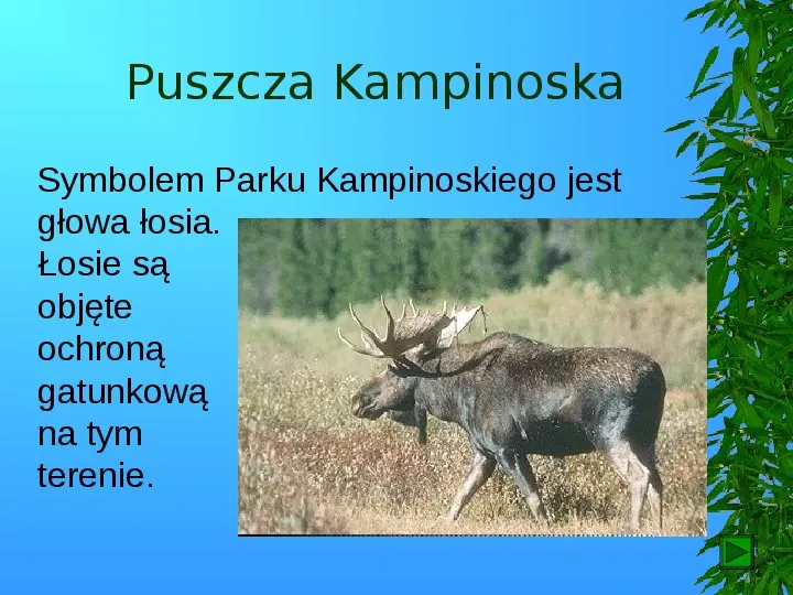 Krajobrazy Polski - Slide 51