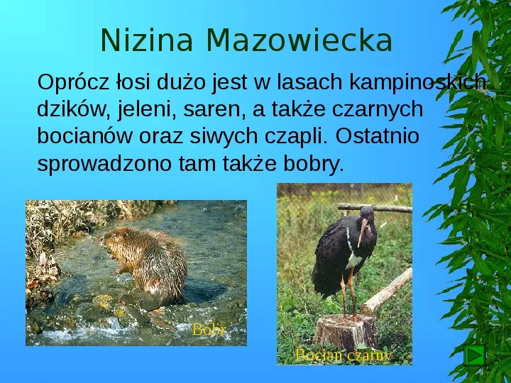 Krajobrazy Polski - Slide 52