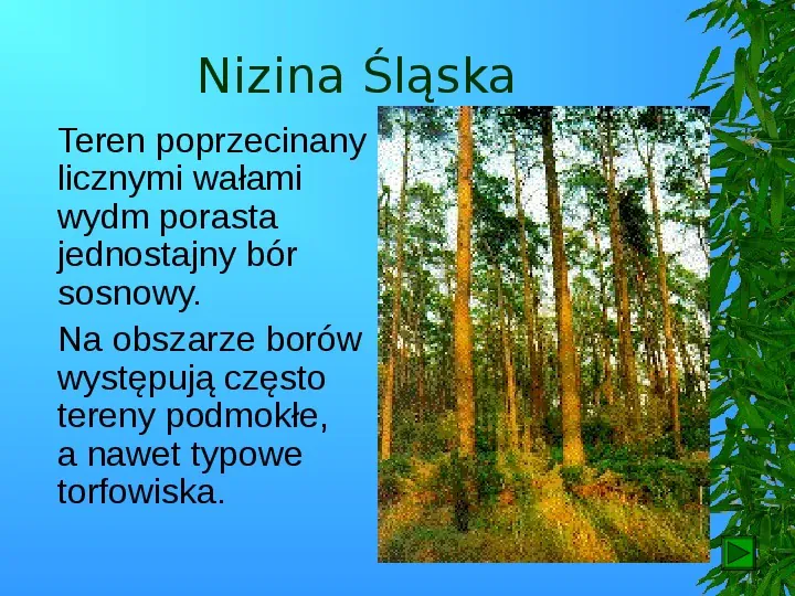 Krajobrazy Polski - Slide 55