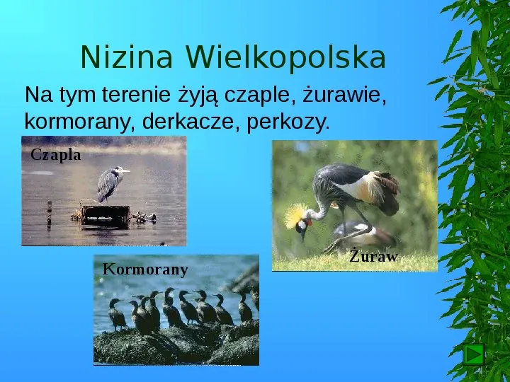 Krajobrazy Polski - Slide 58