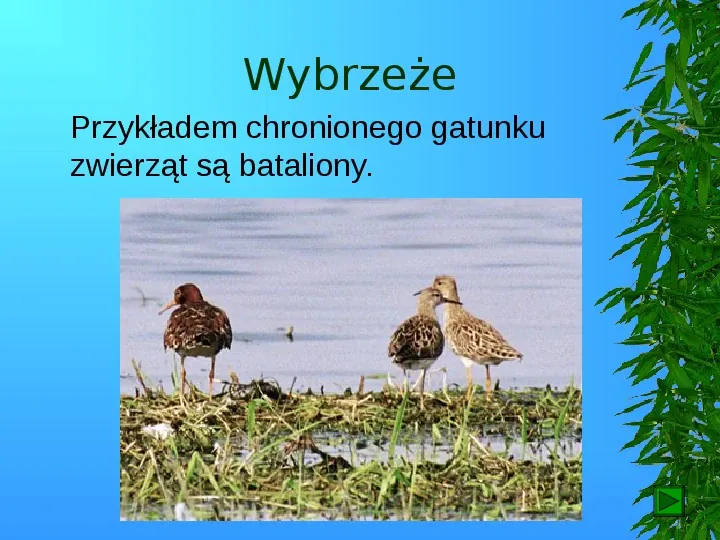 Krajobrazy Polski - Slide 79