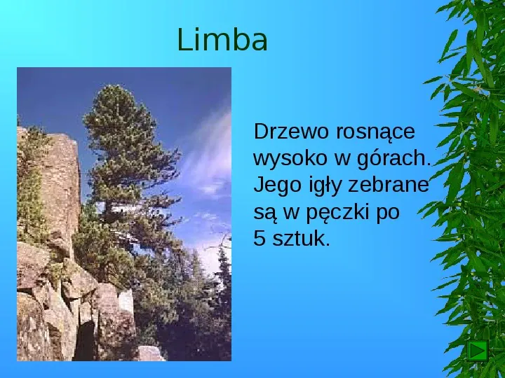 Krajobrazy Polski - Slide 8
