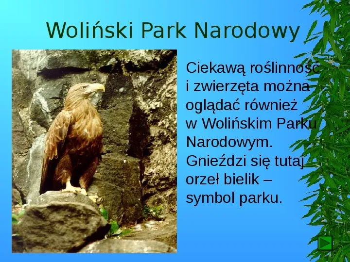 Krajobrazy Polski - Slide 80