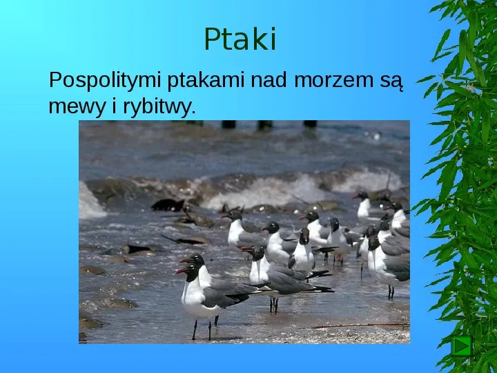 Krajobrazy Polski - Slide 81