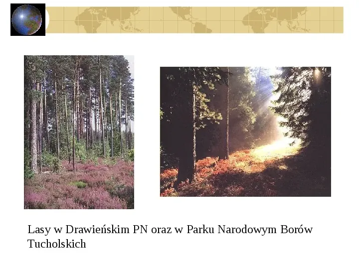 Atrakcje turystyczne Polski - Slide 14