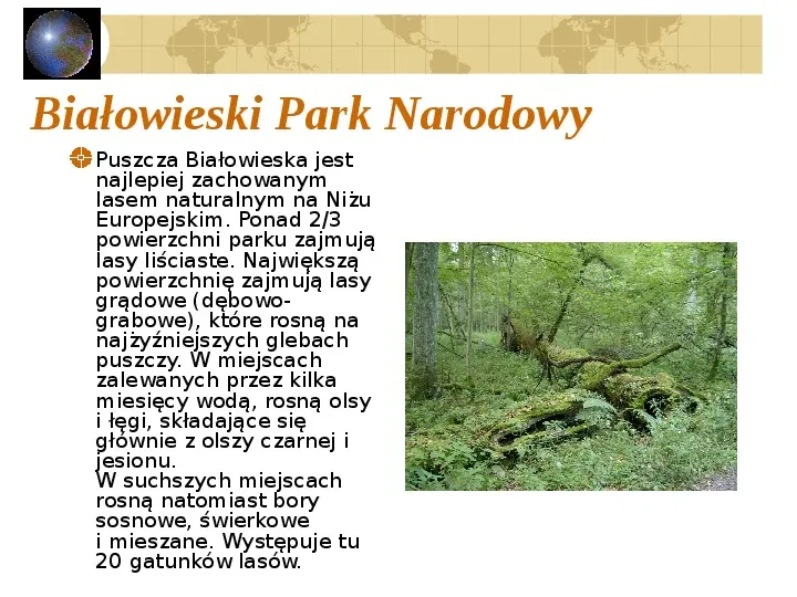 Atrakcje turystyczne Polski - Slide 49