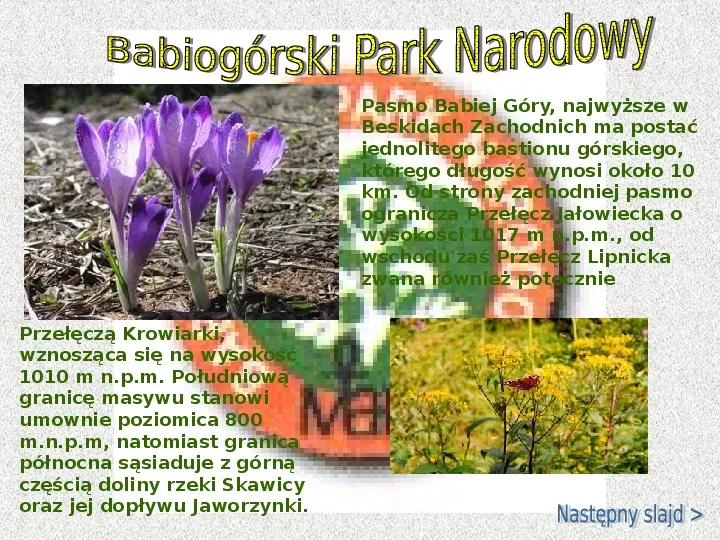 Parki Narodowe w Polsce - Slide 10