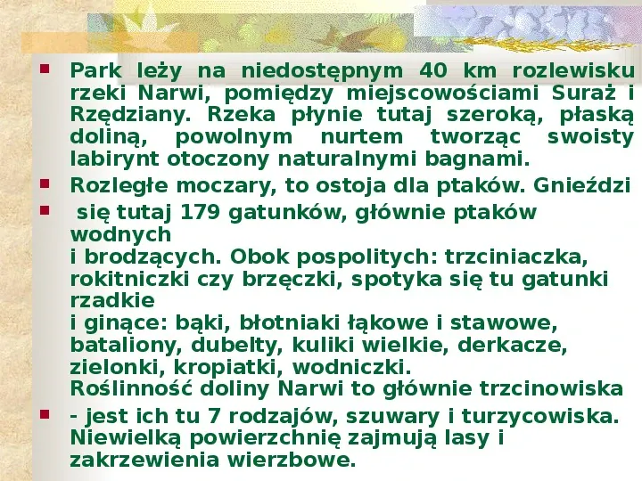 Parki Narodowe Bogactwo naturalne Polski - Slide 11