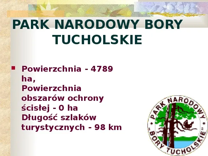 Parki Narodowe Bogactwo naturalne Polski - Slide 14