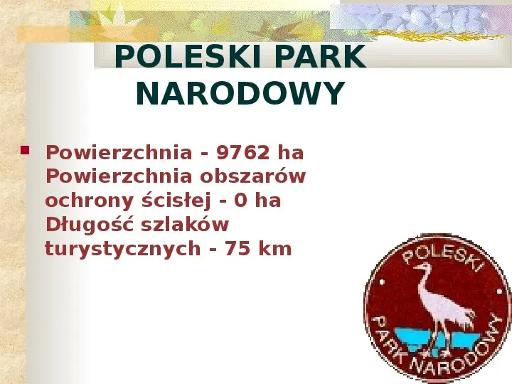 Parki Narodowe Bogactwo naturalne Polski - Slide 16