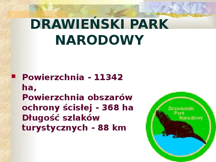 Parki Narodowe Bogactwo naturalne Polski - Slide 2