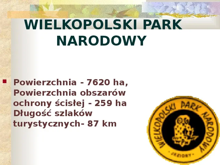 Parki Narodowe Bogactwo naturalne Polski - Slide 24
