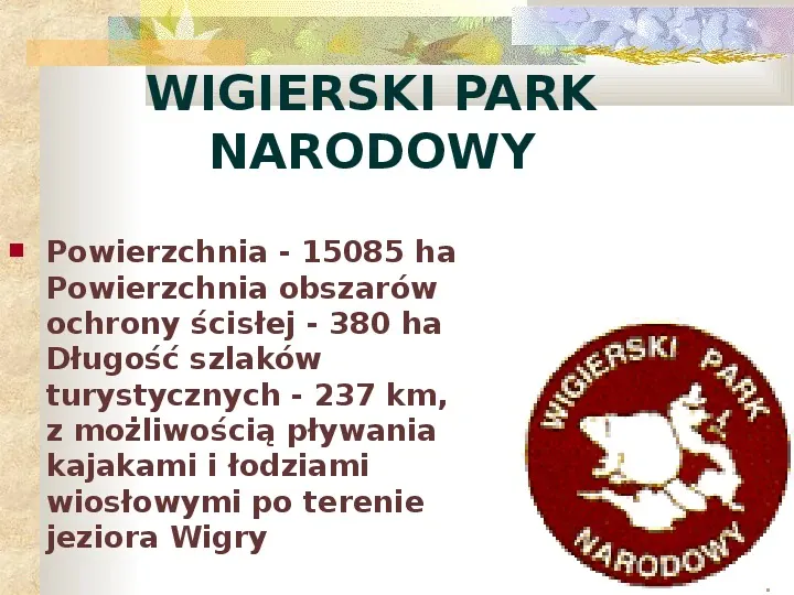 Parki Narodowe Bogactwo naturalne Polski - Slide 26