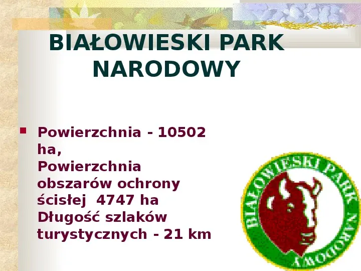 Parki Narodowe Bogactwo naturalne Polski - Slide 4