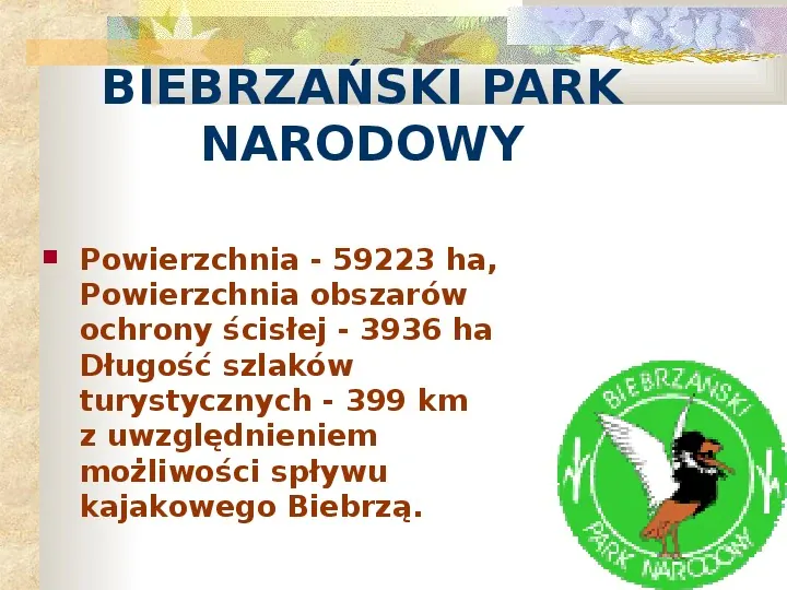 Parki Narodowe Bogactwo naturalne Polski - Slide 6