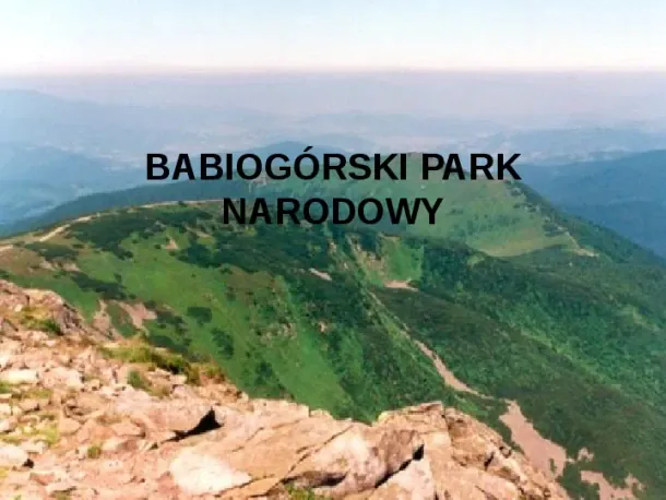 Babiogórski Park Narodowy - Slide pierwszy