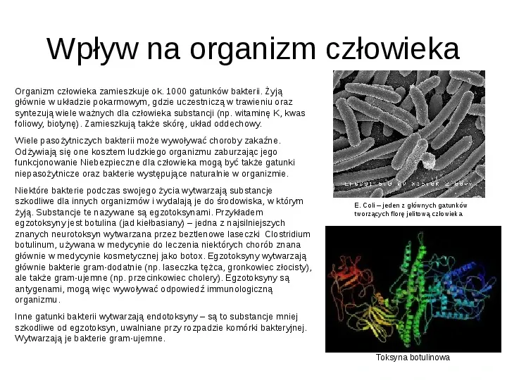 Świat bakterii - Slide 13