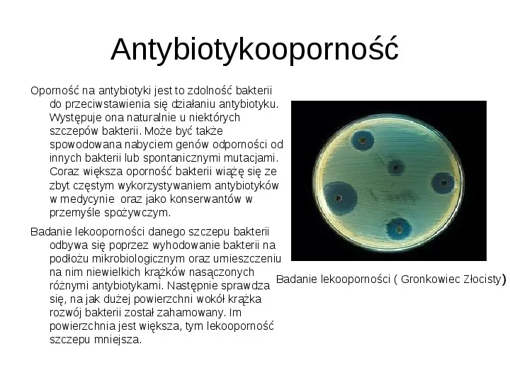 Świat bakterii - Slide 16