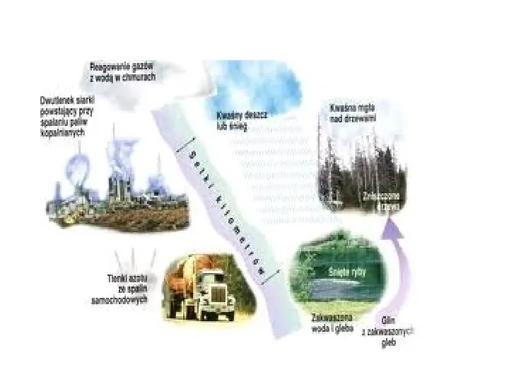 Zanieczyszczenia gleb - Slide 10