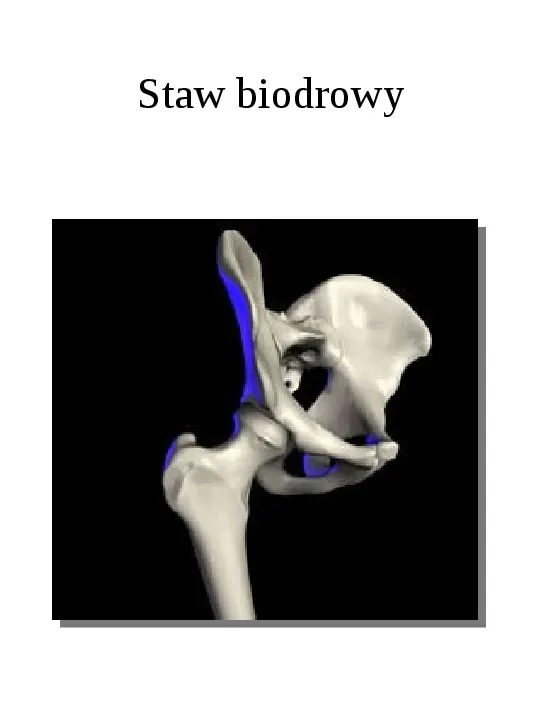 Osteologia - Slide 27