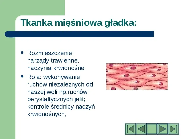 Komórki i tkanki w organizmie człowieka - Slide 15