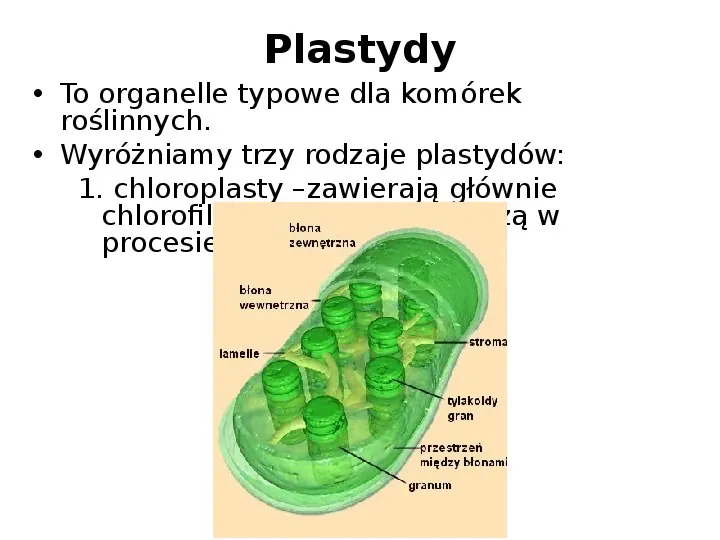 Jak zbudowane są komórki organizmów? - Slide 27