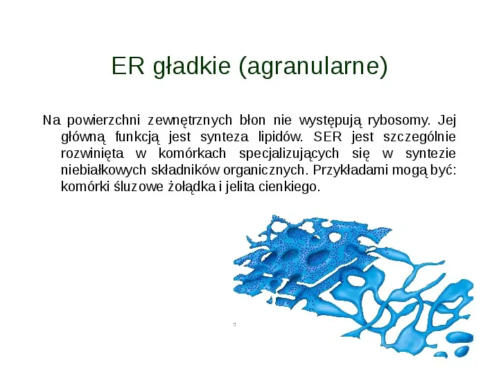 Jak zbudowane są komórki organizmów? - Slide 32