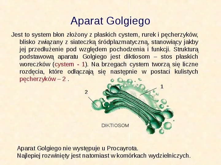 Jak zbudowane są komórki organizmów? - Slide 34