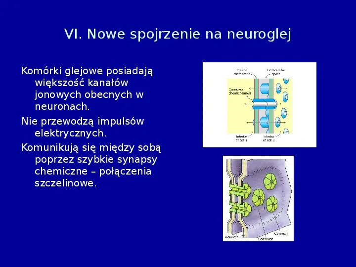 Komórki glejowe - Slide 15