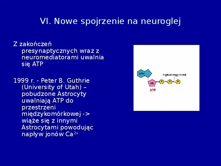 Komórki glejowe - Slide 16