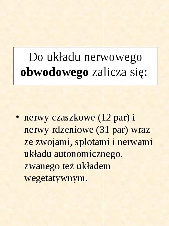 Układ nerwowy - Slide 4