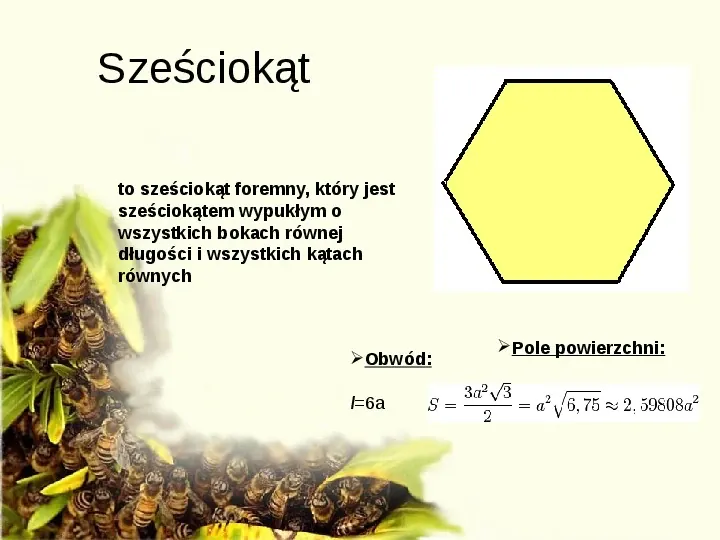 Pszczoły - Slide 22