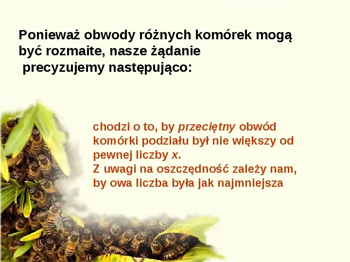 Pszczoły - Slide 29