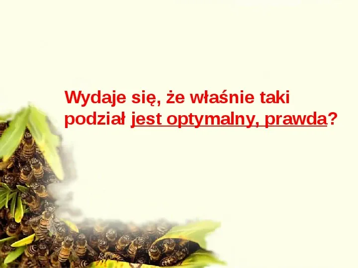 Pszczoły - Slide 31