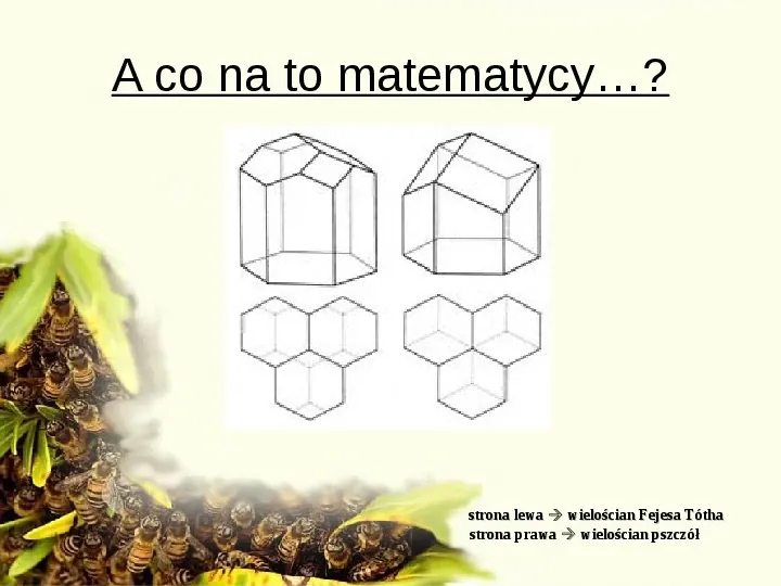 Pszczoły - Slide 34