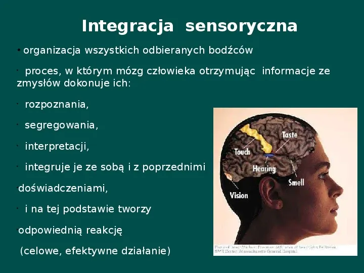 Zespół Aspergera - przyczyny, objawy, funkcjonowanie - Slide 19