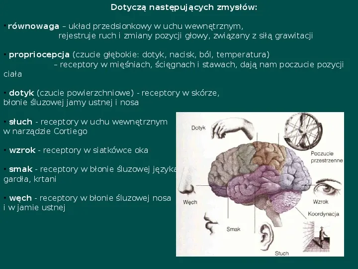 Zespół Aspergera - przyczyny, objawy, funkcjonowanie - Slide 21