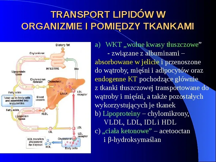 Lipidy - Slide 2