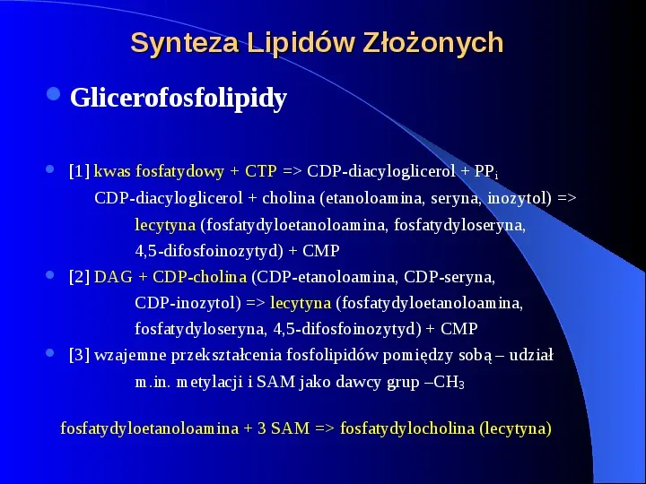 Lipidy - Slide 26