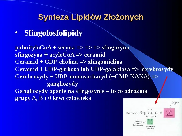 Lipidy - Slide 27