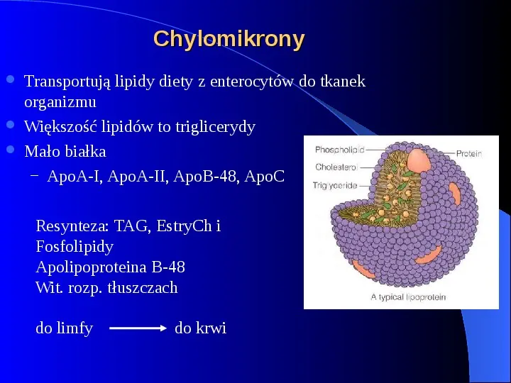 Lipidy - Slide 3