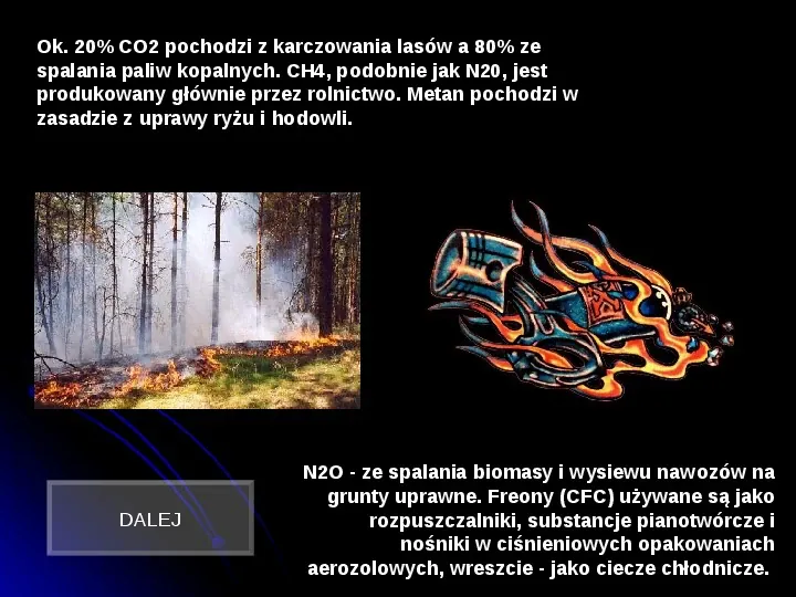 Szkodliwy wpływ czynników chemicznych na człowieka - Slide 8