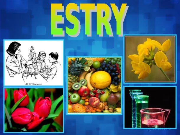 Estry - Slide pierwszy