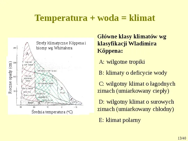 Klimat, biomy, gleby - Slide 13