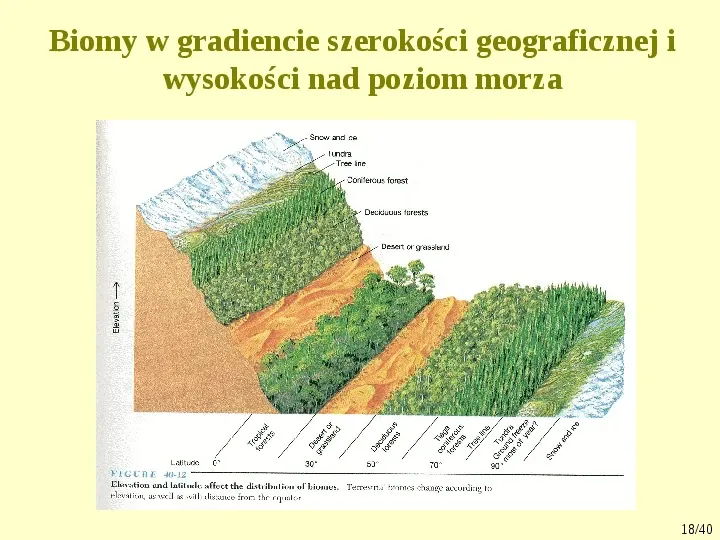 Klimat, biomy, gleby - Slide 18