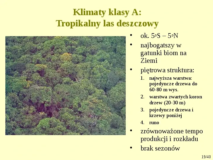 Klimat, biomy, gleby - Slide 19